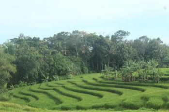 Nyanyi Sanctuary By Ini Vie Hospitality Villa Tanah Lot